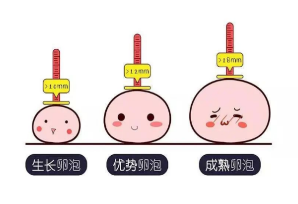 多囊卵巢没有卵泡