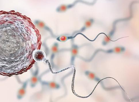 精子活动总数0个是什么意思，是死精的意思吗？