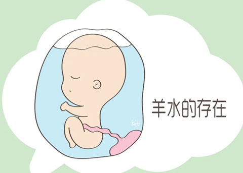 54PJ11LFX(DB0CUABURT~6L.png