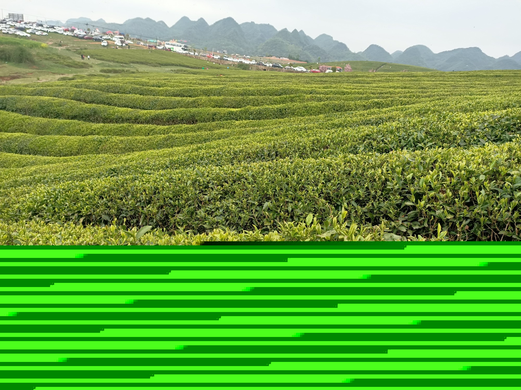 懂得珍惜头像