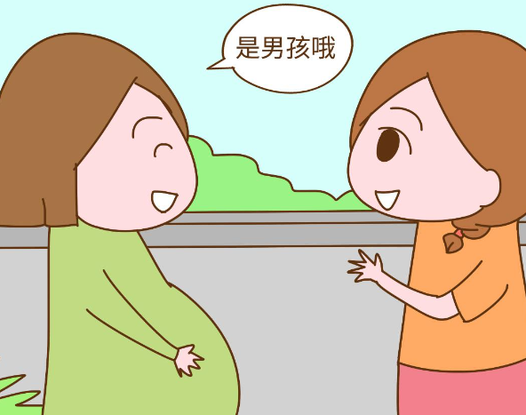 生男孩会受遗传因素影响