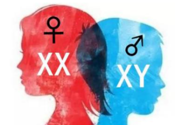 生龙凤胎的科学备孕方法