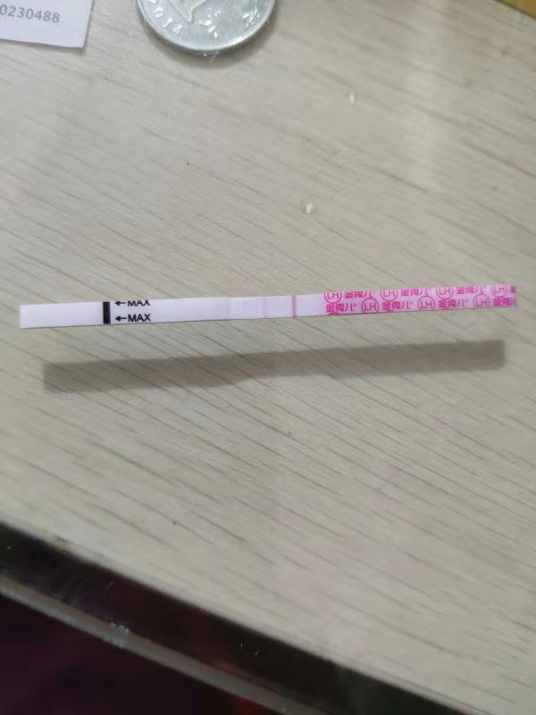 试管婴儿相关图片