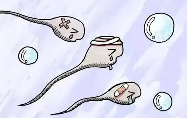 弱精可以做人工受孕