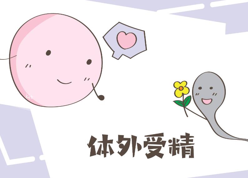 梁波的神州中泰可以帮助到哪些人?