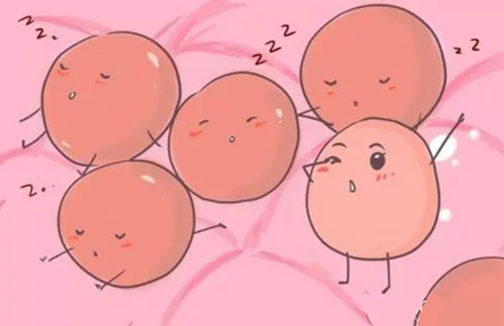 K219}L8CQUC]V0[CHP6H~S8.png