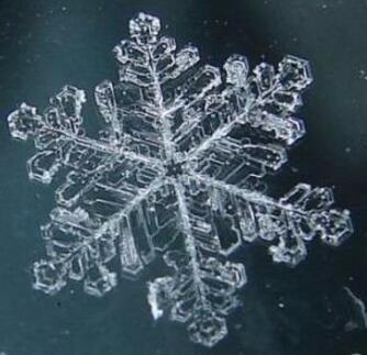 慕雪头像