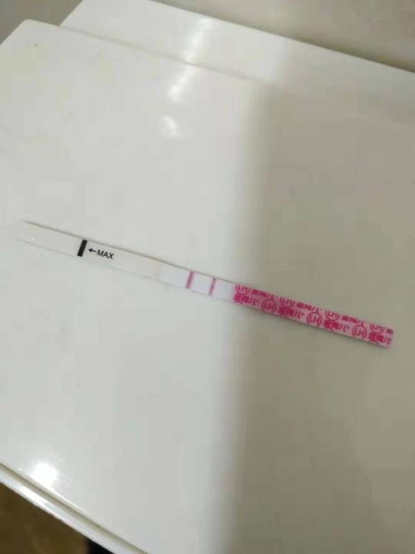 试管婴儿图片