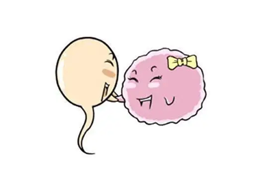 T8P9SR8(2]{SVC8)WDLM~D7.png