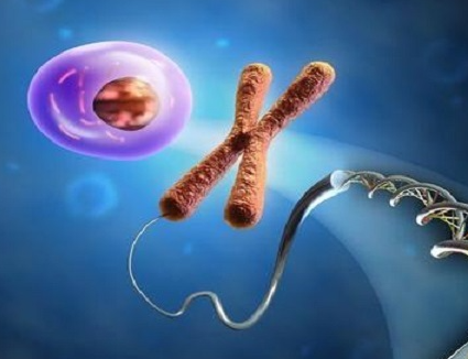 18三体综合征是精子问题还是卵子问题？每个人都无法避免吗？