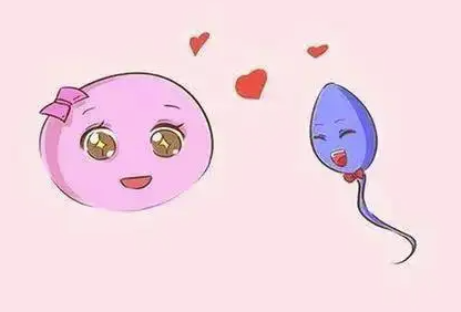 供卵自怀和正常怀孕