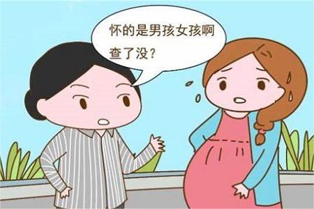 妊娠反应可判断男女