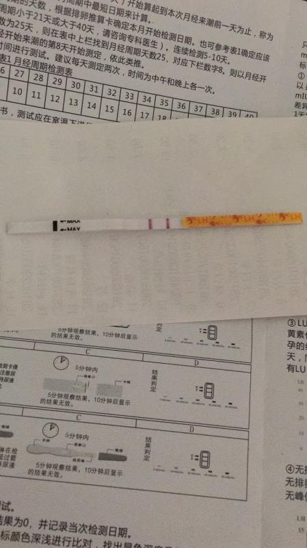 dd88fc1f-d7bc-45c9-b118-2bcaced1ce66