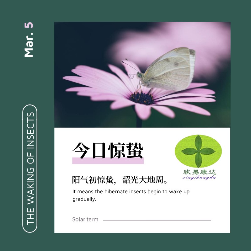 骁龙870头像