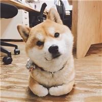 醉清风头像