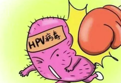 hpv是什么病.png