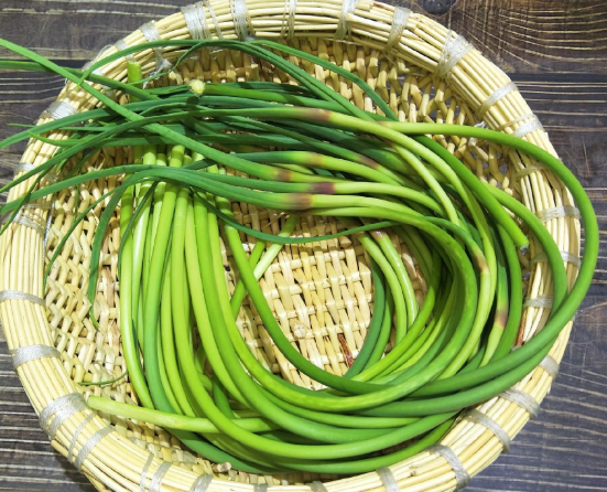 哺乳期可以吃少量蒜苔