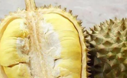 榴莲含雌激素高