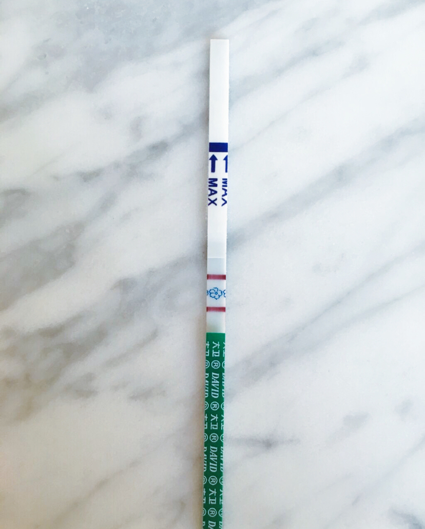 试管婴儿图片