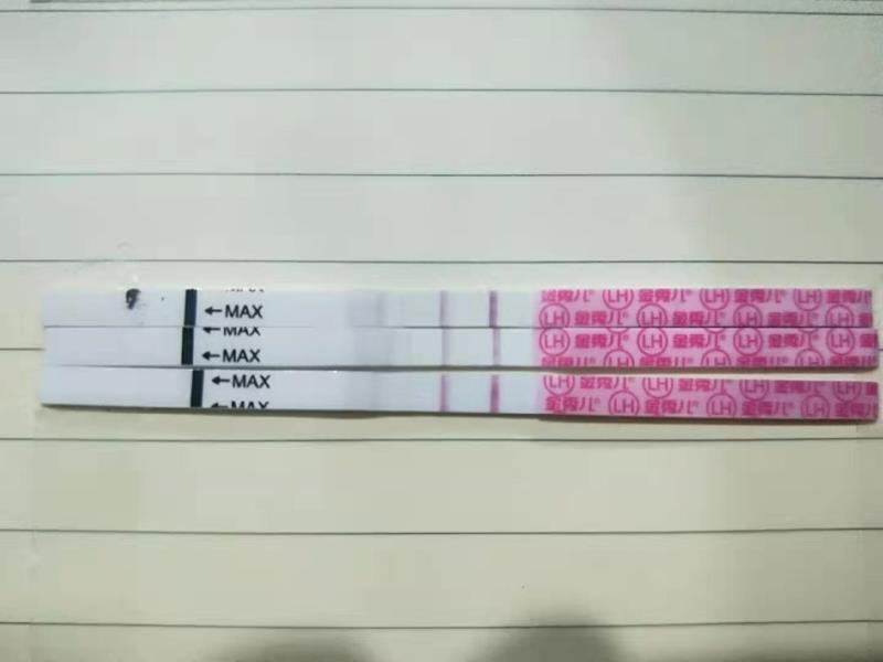 试管婴儿图片