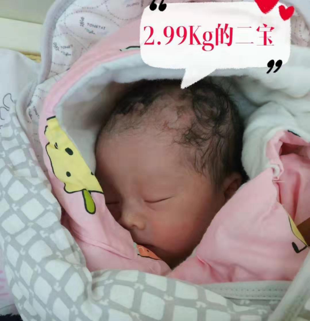 试管婴儿相关图片