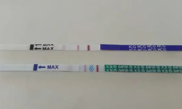 移植后第十二天白板的情况