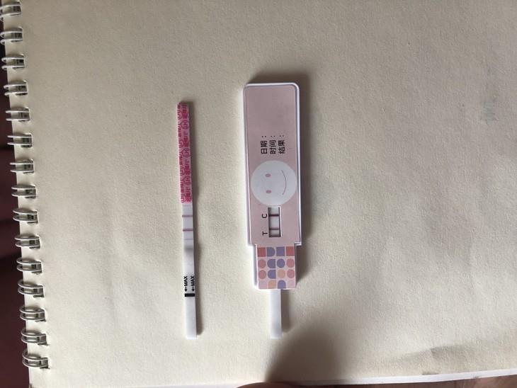 试管婴儿相关图片