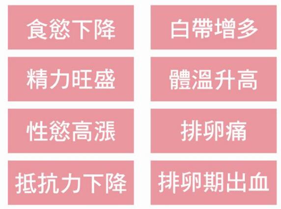 排卵期八个症状