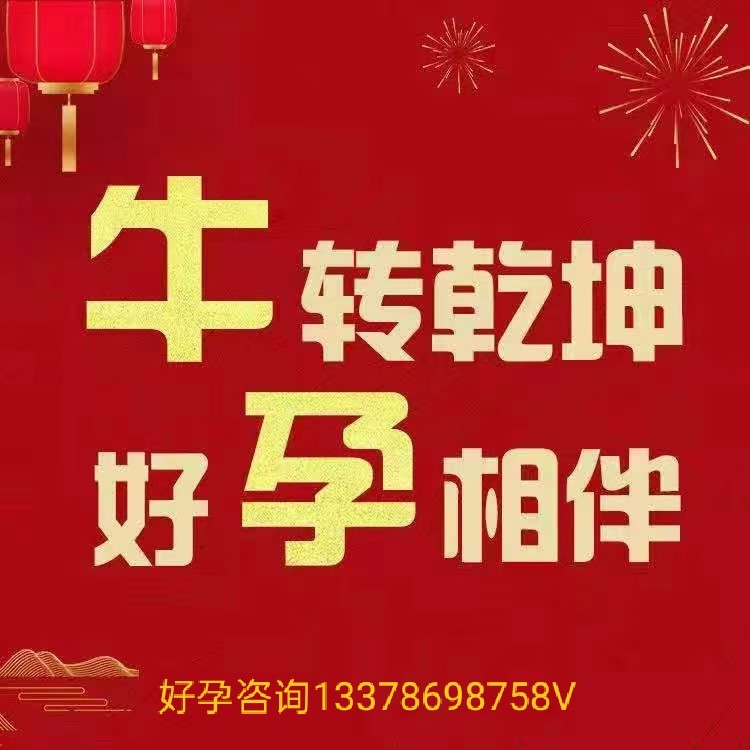 23b73823-ae1d-44b8-ad78-c2ce38ef077a