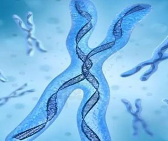 男性17号染色体缺失存在异常可以做试管生育健康的孩子吗？