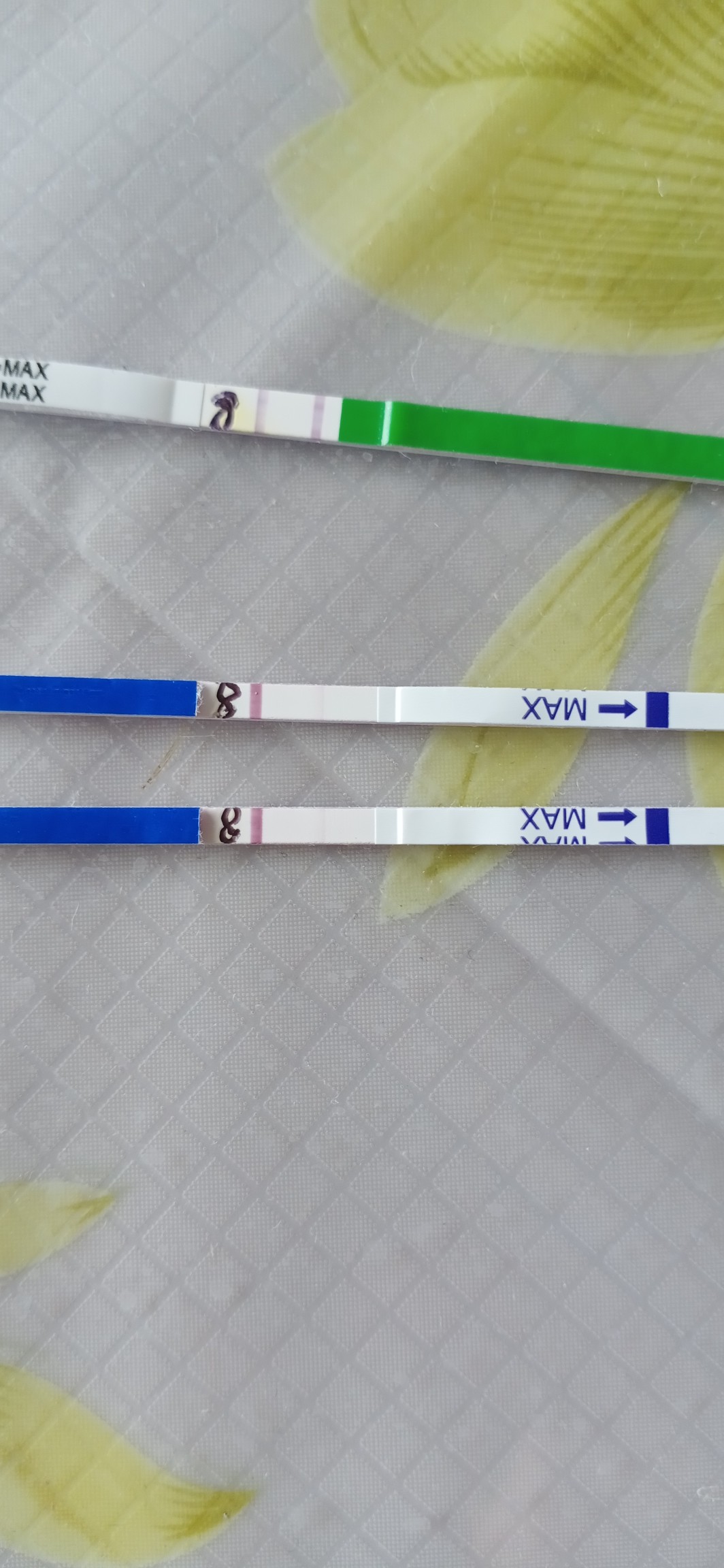 5360c34e-b6d3-4ccd-afa0-76ffbe9245ad