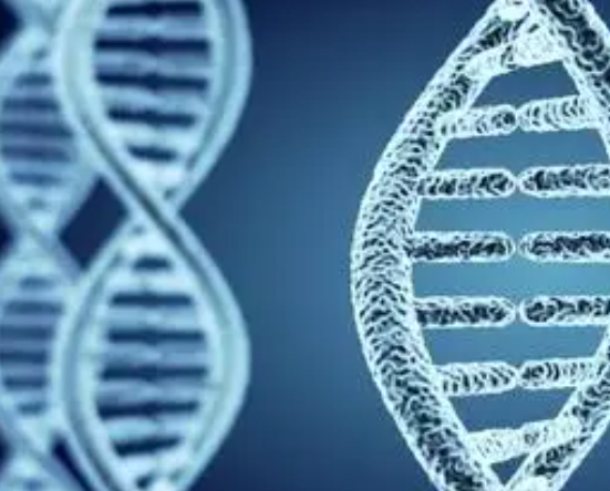 供卵试管婴儿技术生的小孩不像自己怎么办？是母系基因太强了吗？