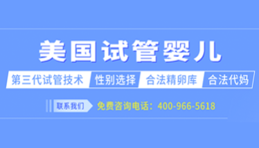 去美国做试管那个中介好