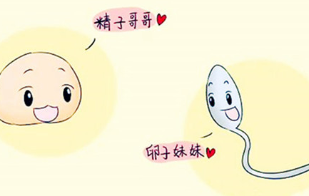 备孕男性精子储备几天.png