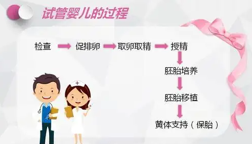 第四代试管婴儿流程详细.png