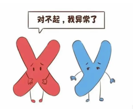 国内目前第三代试管可以筛查哪些疾病