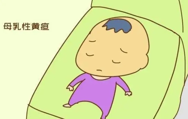 母乳性黄疸的持续时间通常比其他类型的黄疸要长