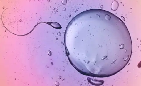 2ZKV4W[CTEH}UQM_S62)8ZI.png