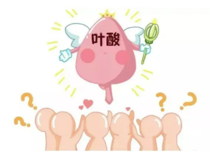 [吃叶酸能帮助怀孕吗]