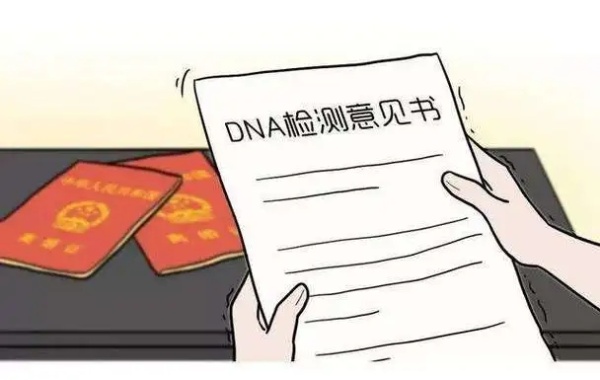 单亲孩子直接做亲子鉴定可以上户口