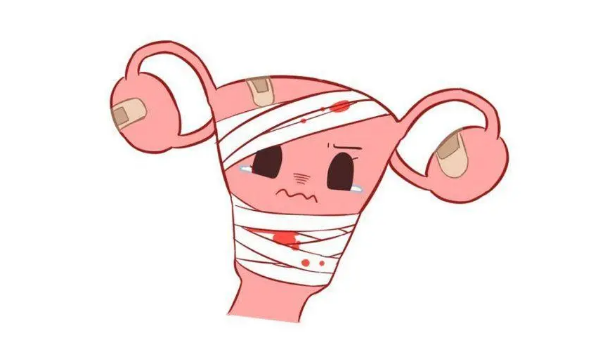 很好奇天生无子宫的女性可以过性生活和生育吗?