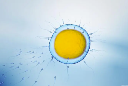精子正常形态率1%