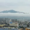 茶花香雨头像