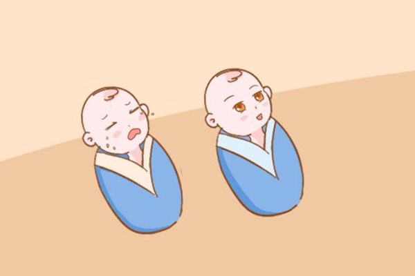 高龄女性怀龙凤胎的概率小