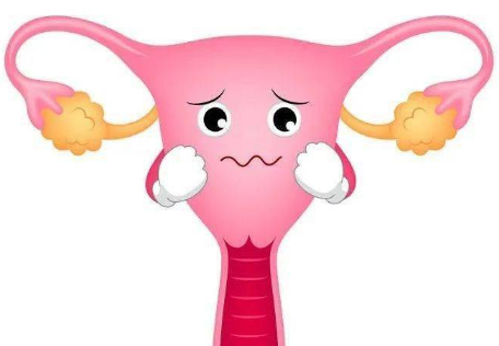 绝经后怎么保养卵巢和子宫有窍门，保持年轻的秘诀就在这