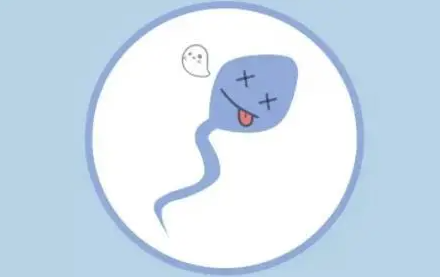 精子xy筛查怎么做1.png