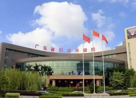 广州试管婴儿医院.png