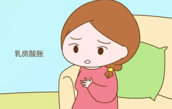 怀孕前体内的雌激素和孕激素会持续升高