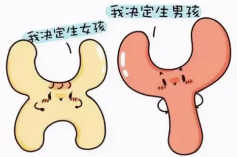 怀男孩母亲血液中一定有y吗