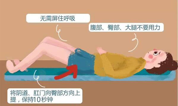 流产后做凯格尔运动时间